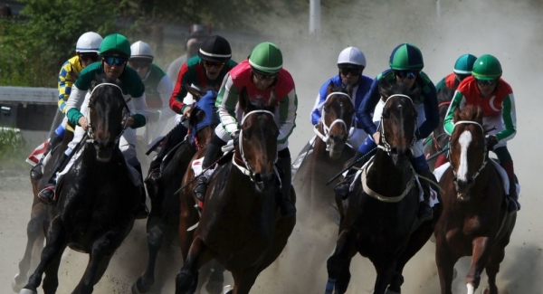 Небывалый результат: лошади из Абхазии заняли призовые места на скачках в Краснодаре