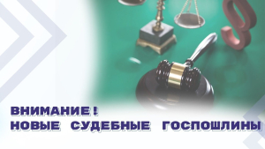 Новый закон "О государственной пошлине" вступил в силу в Абхазии с 1 февраля