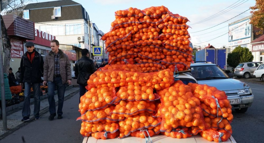 Более 700 тонн мандаринов ввезли из Абхазии в Россию с середины сентября