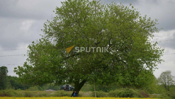 Прогноз погоды в Абхазии на понедельник 21 августа