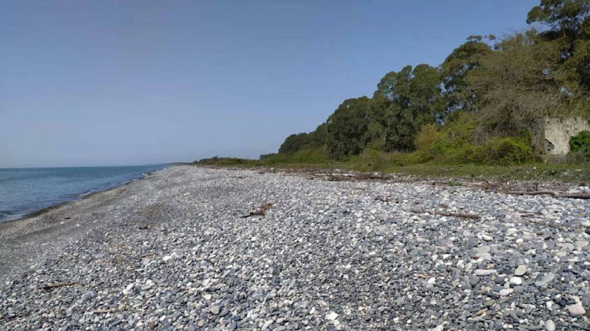 Неопознанное тело нашли на берегу моря в Галском районе