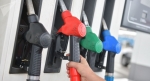 Цены на бензин в России снизились впервые за год