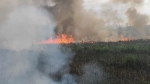 Возгорания сухостоя зафиксированы в районах Абхазии