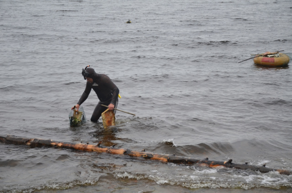В российском городе со дна Японского моря достали русалку