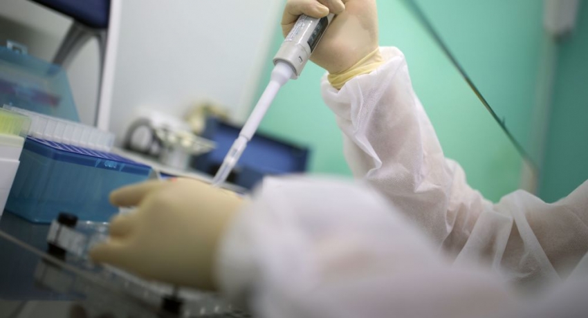 Более 50 новых случаев коронавируса выявили в Абхазии за прошедшие сутки