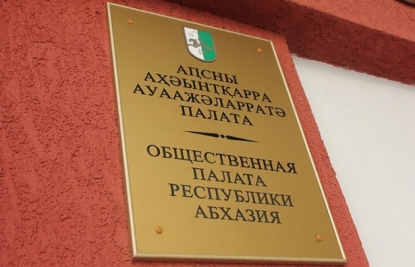 Общественная палата: те, кто призван защищать закон и порядок, сами совершают противоправные действия