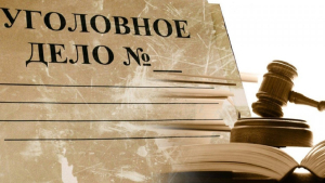 Уголовное дело в отношении Амзы Прохоровой передано в Гудаутский районный суд