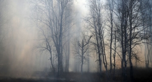 Дождь потушил все пожары в Абхазии