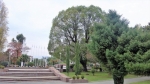 Памятник генералу Владимиру Аршба установят в Парке Славы