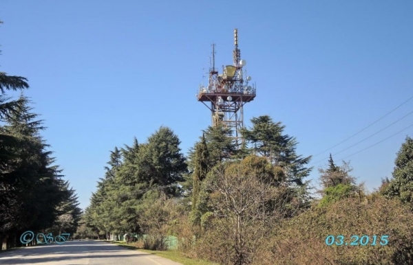 Сотрудниками милиции обнаружены запрещенные растения под пицундской телевышкой