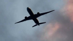 Пассажирский самолет совершил экстренную посадку в Москве