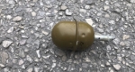 Боевую гранату без кольца и чеки нашли в центре Гудауты