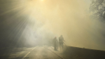 МЧС Абхазии заявило об увеличении количества природных пожаров