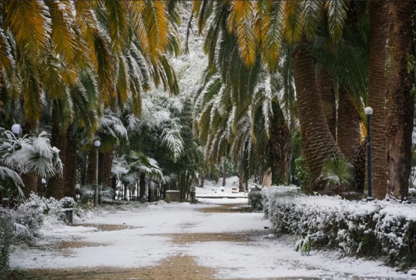 31 января в Абхазии возможен дождь со снегом
