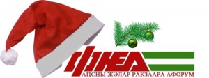 Форум Народного единства поздравил граждан Абхазии с Новым Годом!