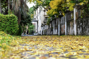 Осень вступила в права: какой будет погода в Абхазии в октябре