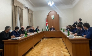 Аслан Бжания провел совещание по итогам поездки делегации Минэкономразвития в Абхазию
