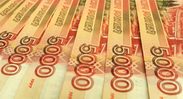 С &quot;лимонами&quot; в Абхазию: мужчина пытался вывезти из России 3,5 миллиона рублей