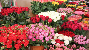 Цветы стоимостью более 240 тысяч рублей изъяли таможенники в Абхазии
