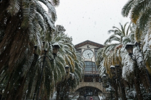 Прогноз погоды в Абхазии на четверг 20 января