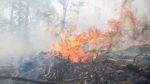 Сухостой загорелся в трех селах Очамчырского района