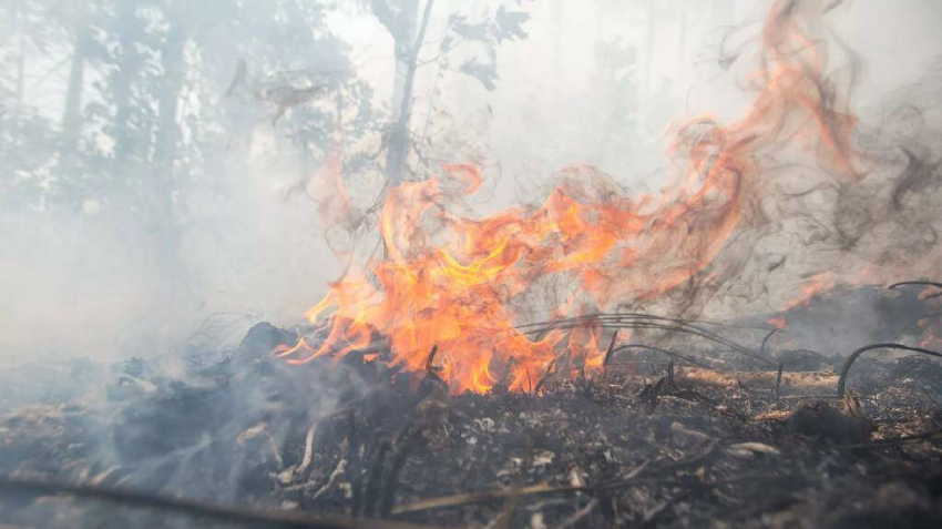 Сухостой загорелся в трех селах Очамчырского района