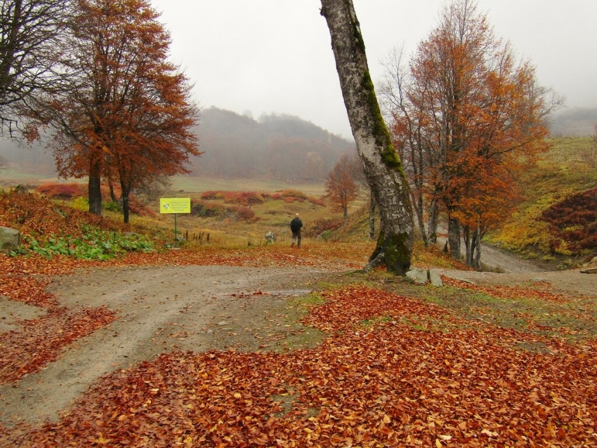 О погоде в Абхазии в ноябре: осень вступает в свои права