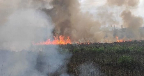 Пожар у болот: три гектара сухой травы потушили в районе Маяка в Сухуме
