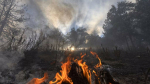 Лес загорелся в районе Яштухи