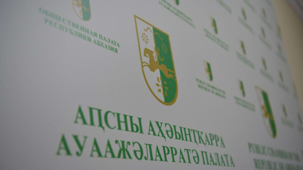 Избраны члены Общественной палаты от Сухумского и Гудаутского районов