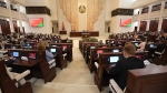 Парламент Белоруссии может признать независимость Южной Осетии и Абхазии