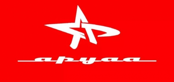 «Аруаа» против многоуровневых переговоров с Грузией