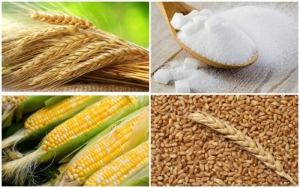 Решение Правительства России о запрете экспорта сахара и зерновых не распространяется на Абхазию