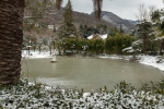 Метеорологи рассказали о погоде в Абхазии с 11 по 17 января