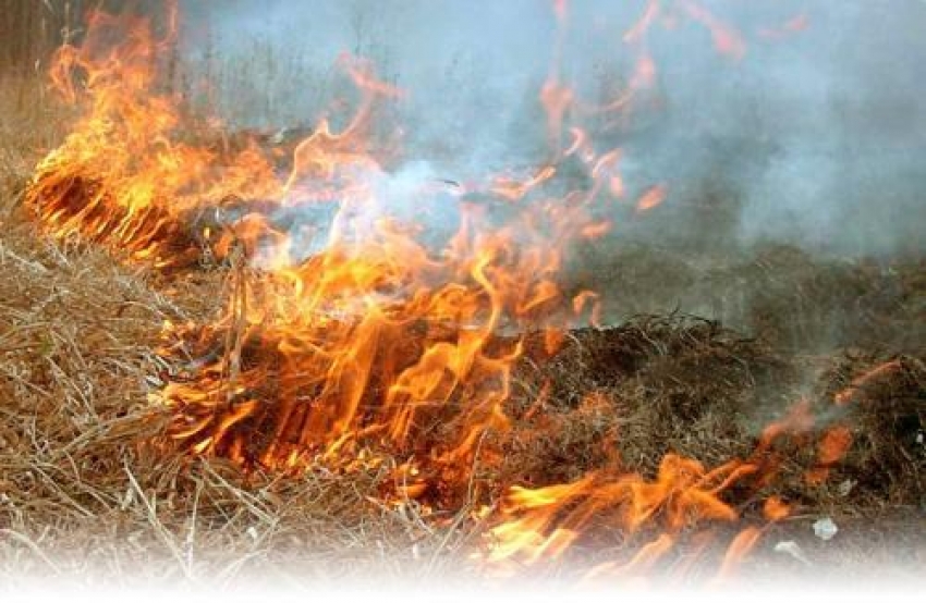 Девять пожаров произошли накануне в Очамчырском районе